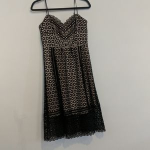 J. Crew black and nude midi dress